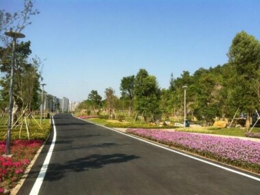 公園白蟻防治