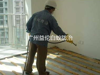 廣州滘口逸彩庭園裝修防白蟻