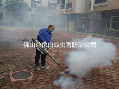 高明小區(qū)下水道四害消殺