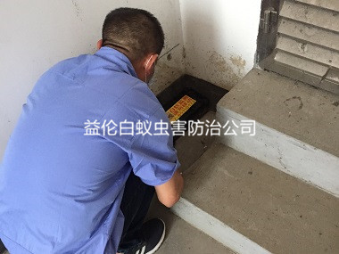 廣州倉庫滅治白蟻