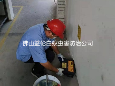 里水除四害公司樓道滅老鼠